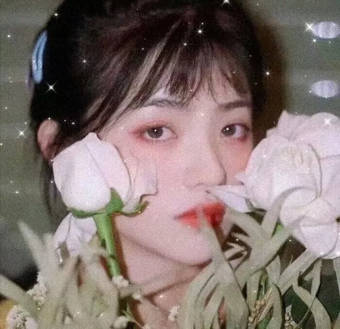 十二个想死的孩子